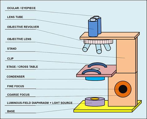 Introduction to Microscopes and Objective Lenses.